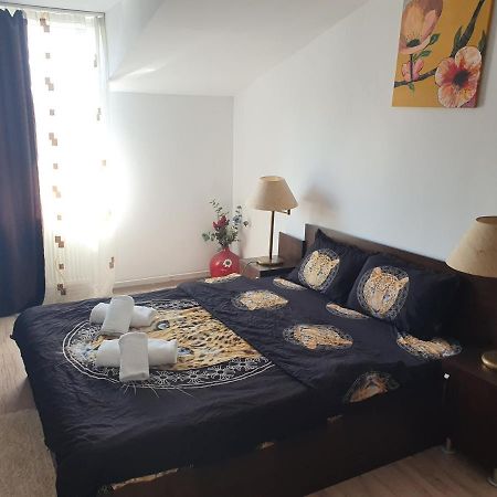Casa Lions Otel Temeşvar Dış mekan fotoğraf