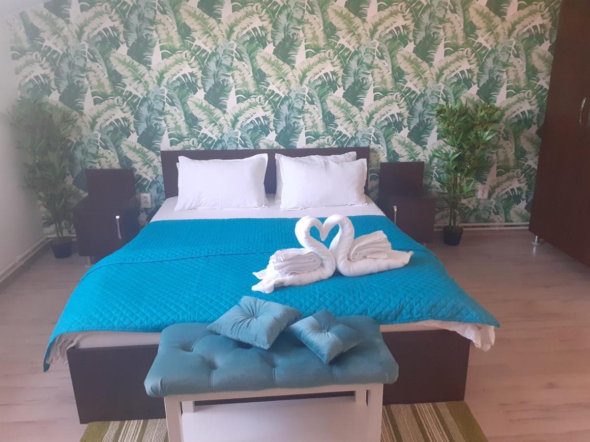 Casa Lions Otel Temeşvar Dış mekan fotoğraf