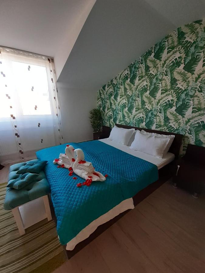 Casa Lions Otel Temeşvar Dış mekan fotoğraf