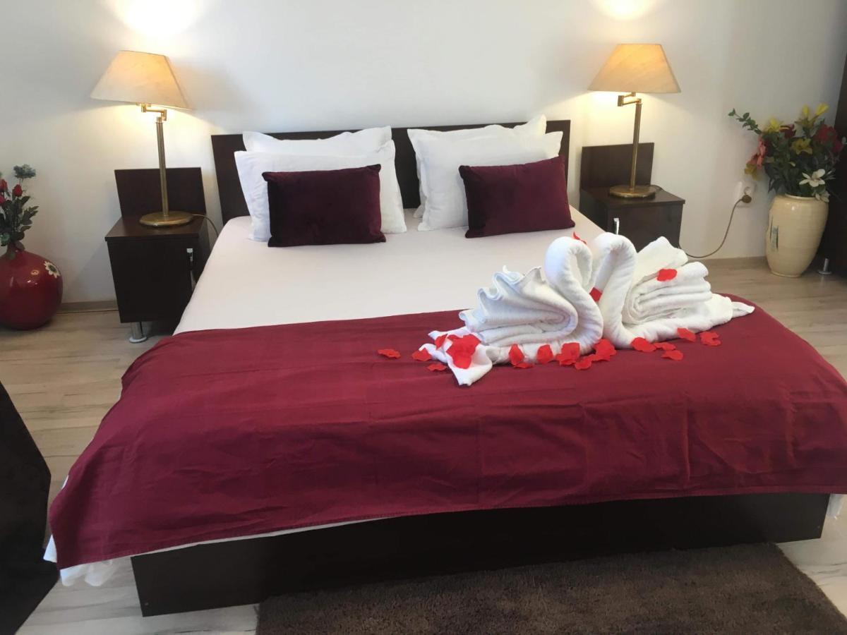 Casa Lions Otel Temeşvar Dış mekan fotoğraf