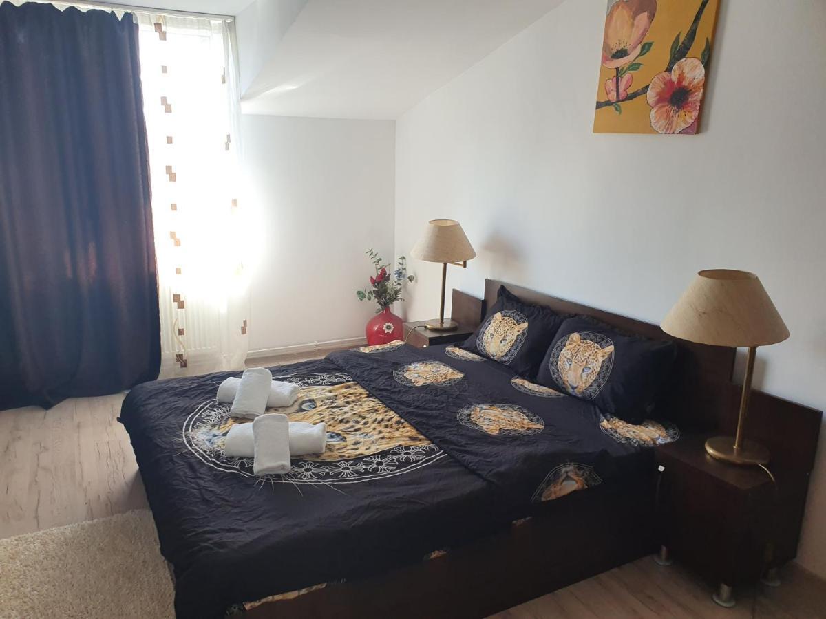 Casa Lions Otel Temeşvar Dış mekan fotoğraf