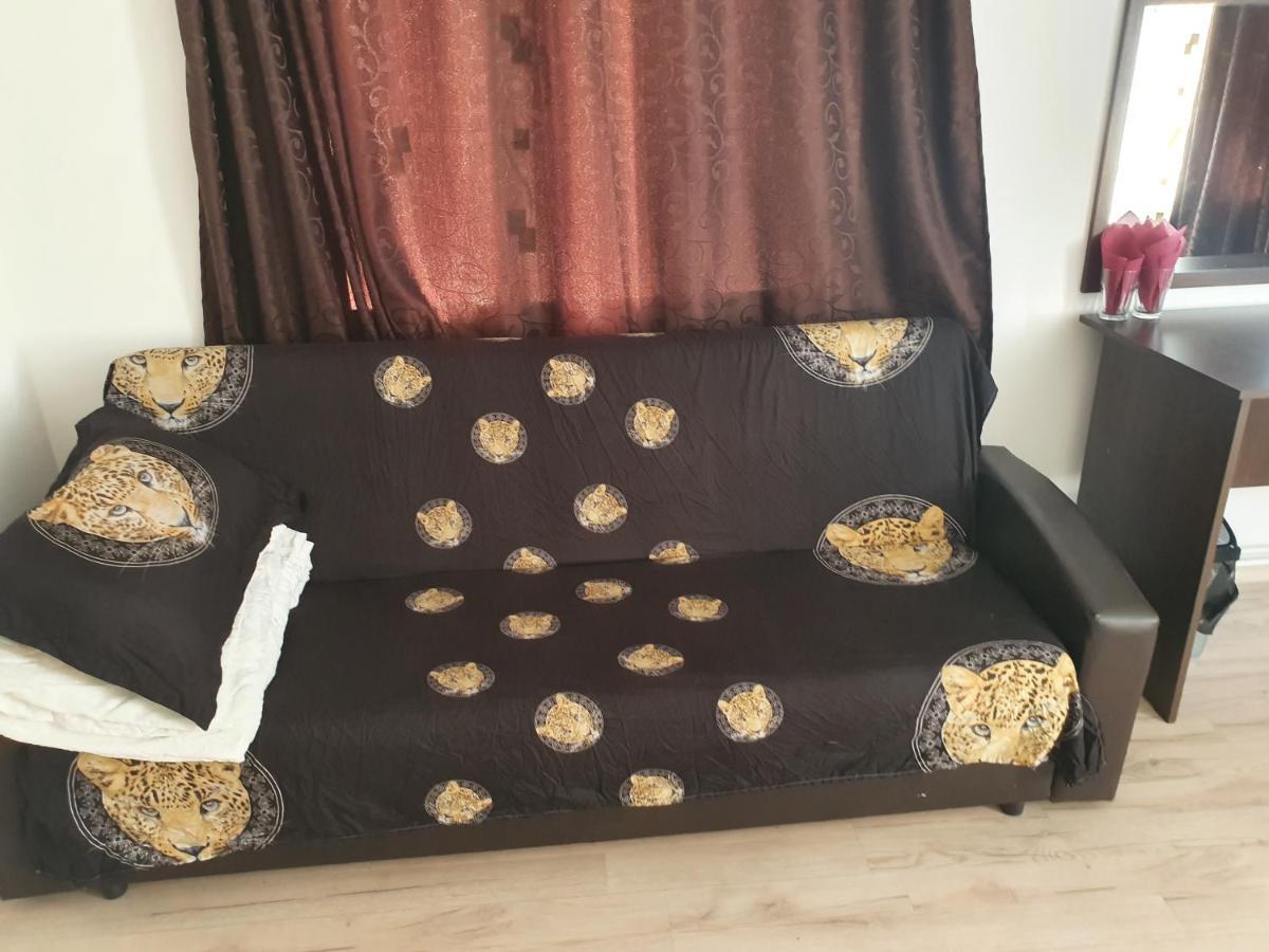 Casa Lions Otel Temeşvar Dış mekan fotoğraf