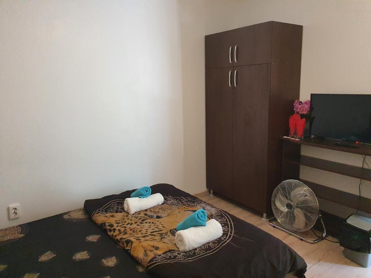 Casa Lions Otel Temeşvar Dış mekan fotoğraf