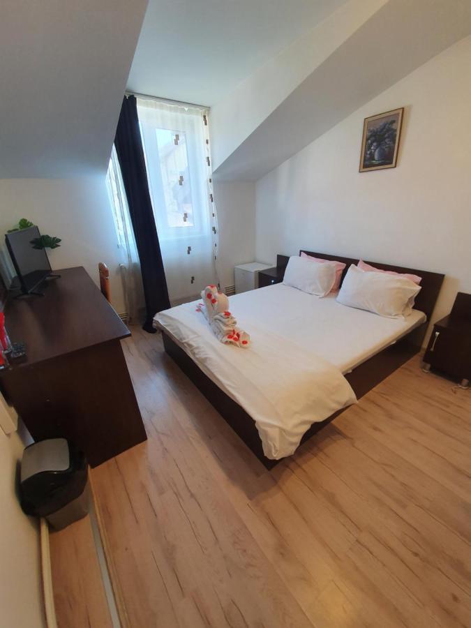 Casa Lions Otel Temeşvar Dış mekan fotoğraf