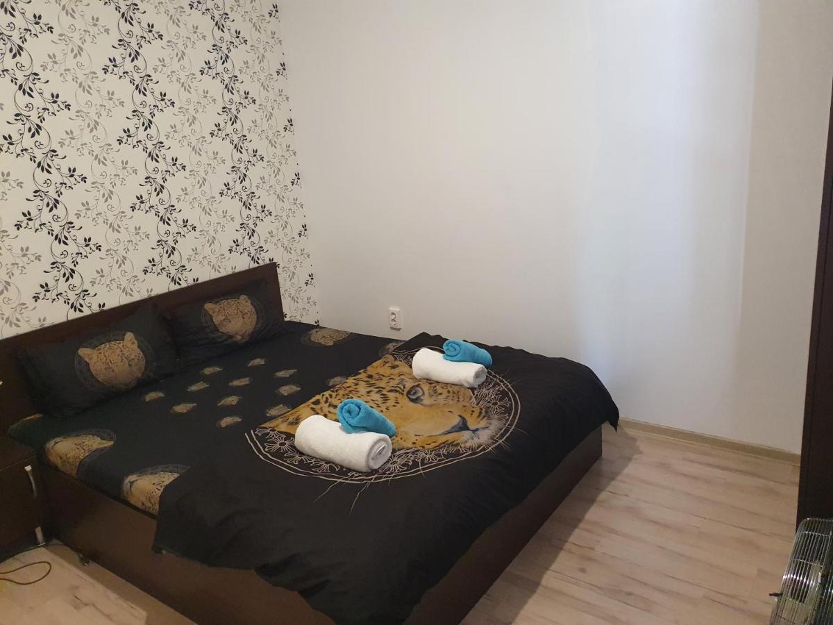 Casa Lions Otel Temeşvar Dış mekan fotoğraf