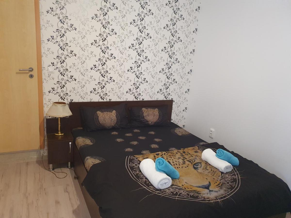 Casa Lions Otel Temeşvar Dış mekan fotoğraf