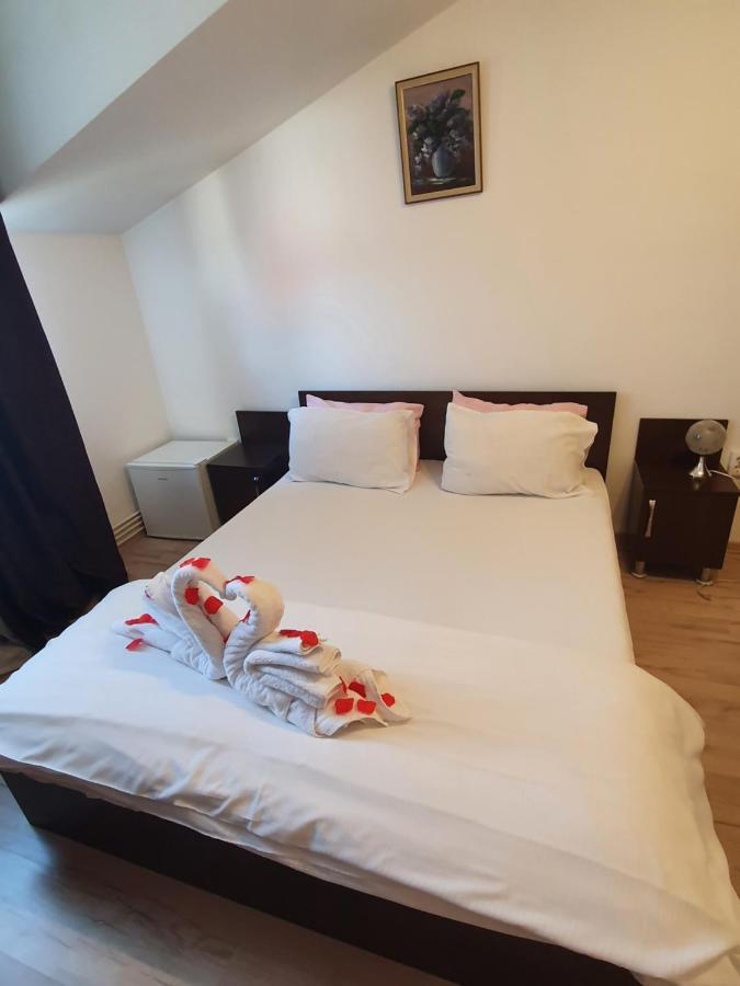 Casa Lions Otel Temeşvar Dış mekan fotoğraf