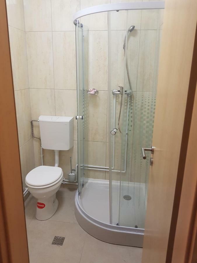 Casa Lions Otel Temeşvar Dış mekan fotoğraf