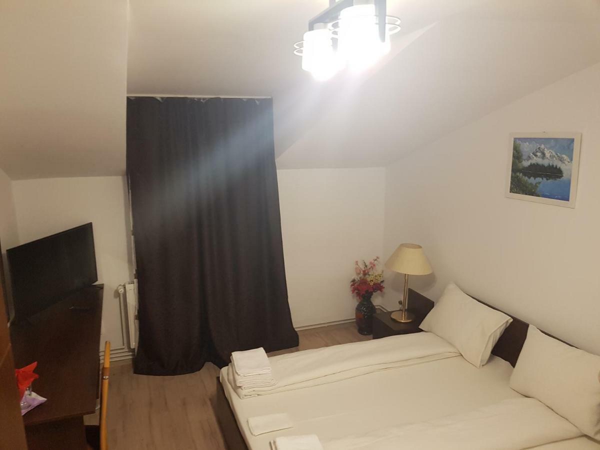 Casa Lions Otel Temeşvar Dış mekan fotoğraf