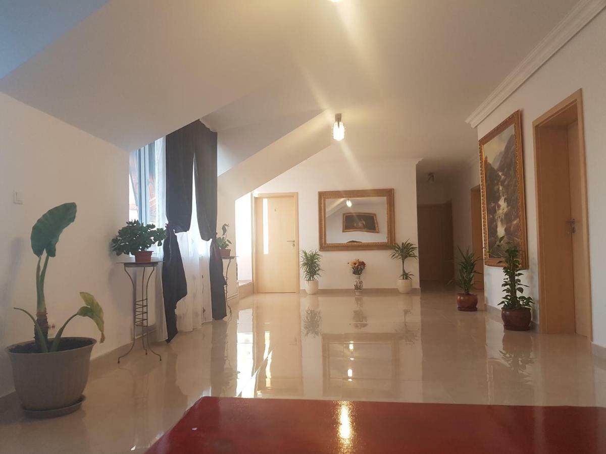 Casa Lions Otel Temeşvar Dış mekan fotoğraf