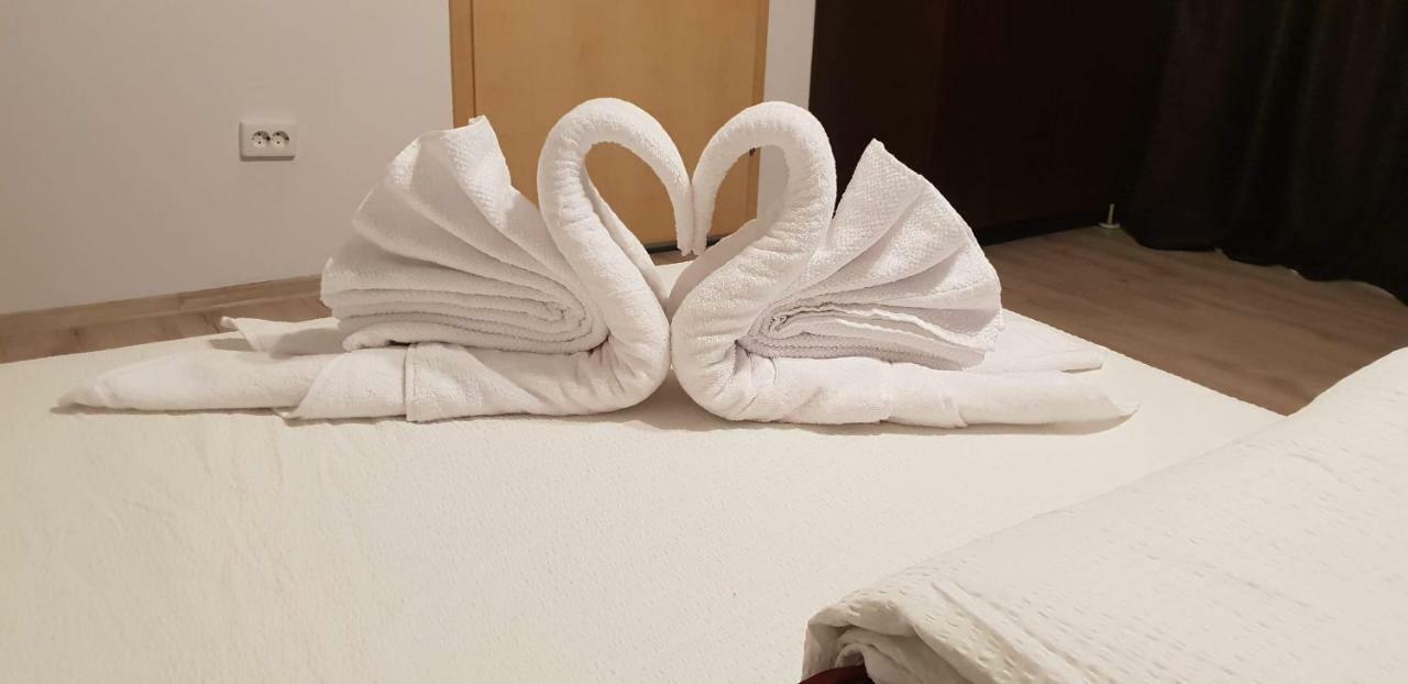 Casa Lions Otel Temeşvar Dış mekan fotoğraf