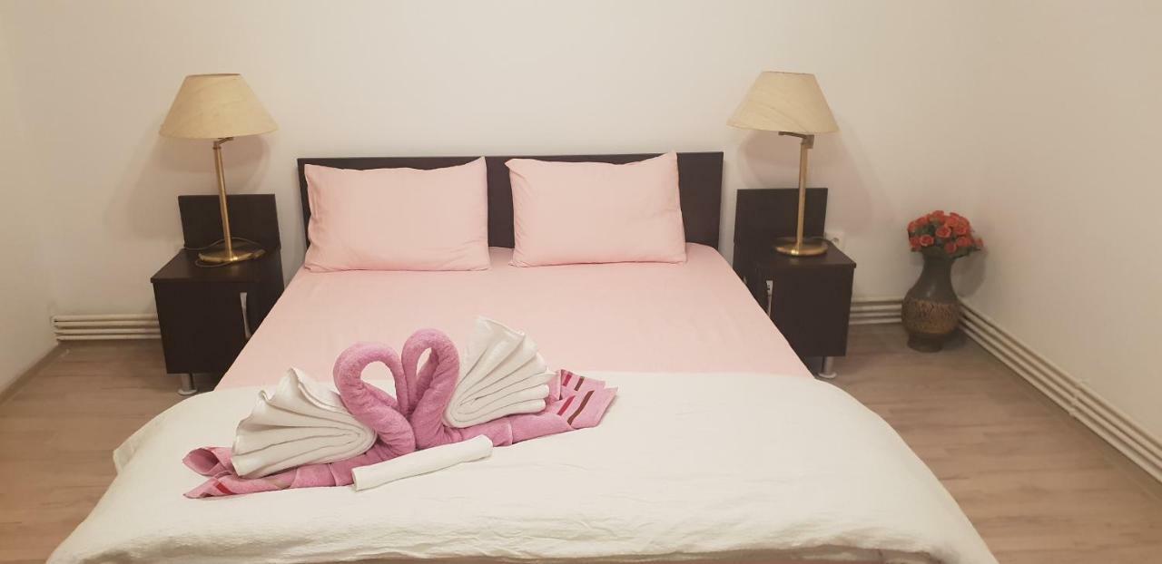Casa Lions Otel Temeşvar Dış mekan fotoğraf