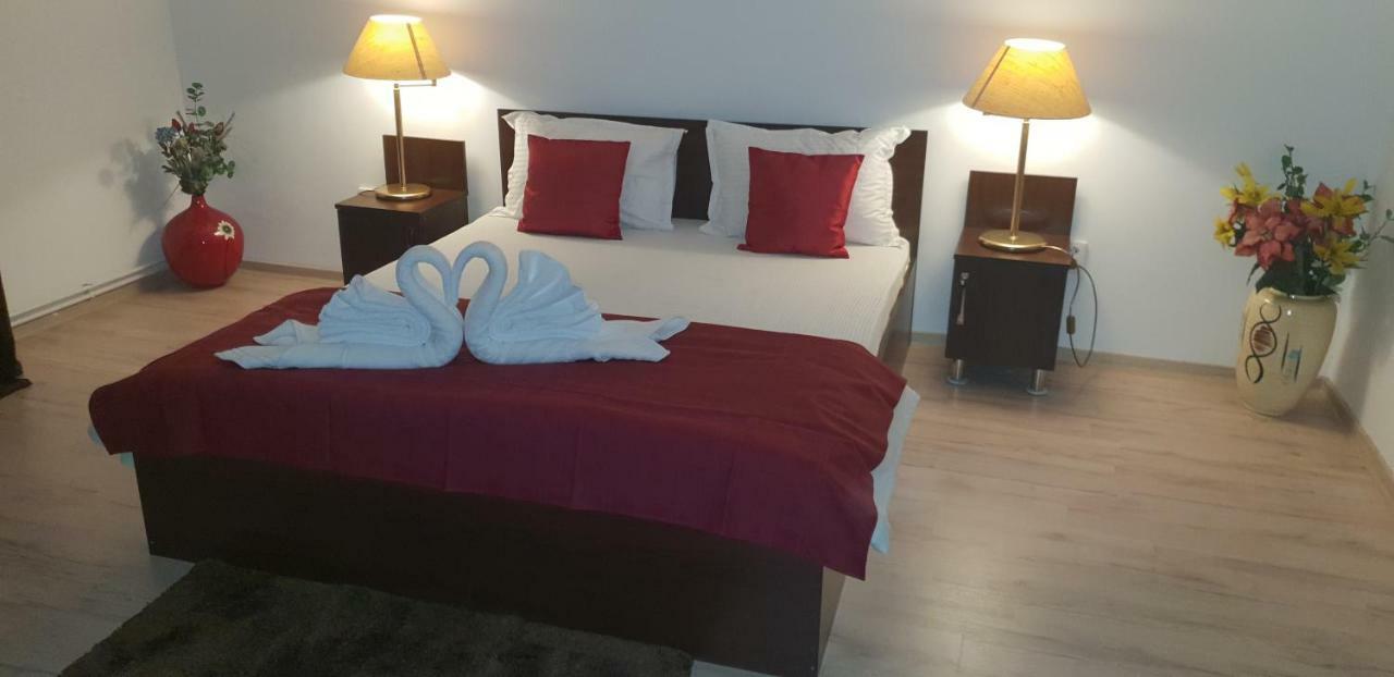 Casa Lions Otel Temeşvar Dış mekan fotoğraf