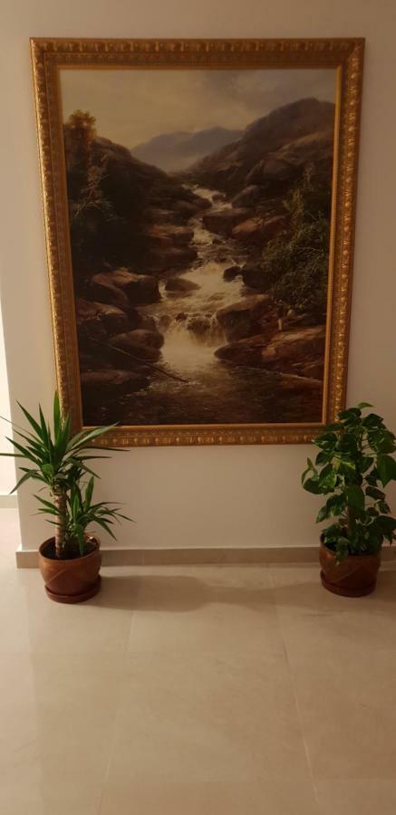 Casa Lions Otel Temeşvar Dış mekan fotoğraf