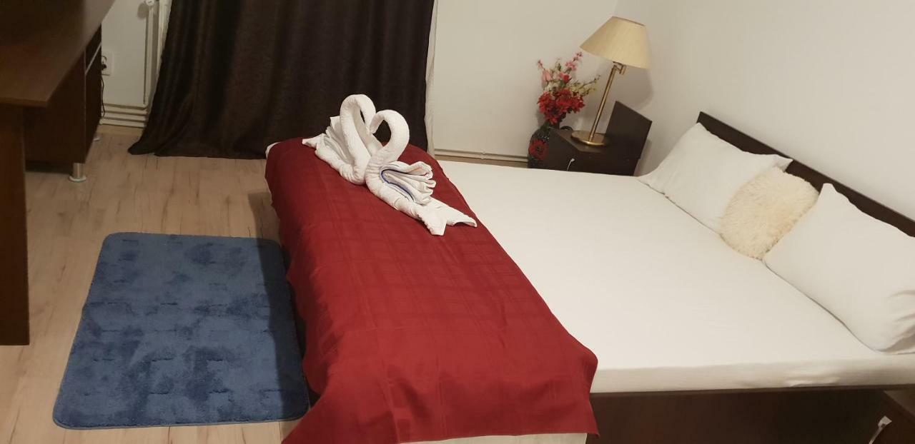 Casa Lions Otel Temeşvar Dış mekan fotoğraf