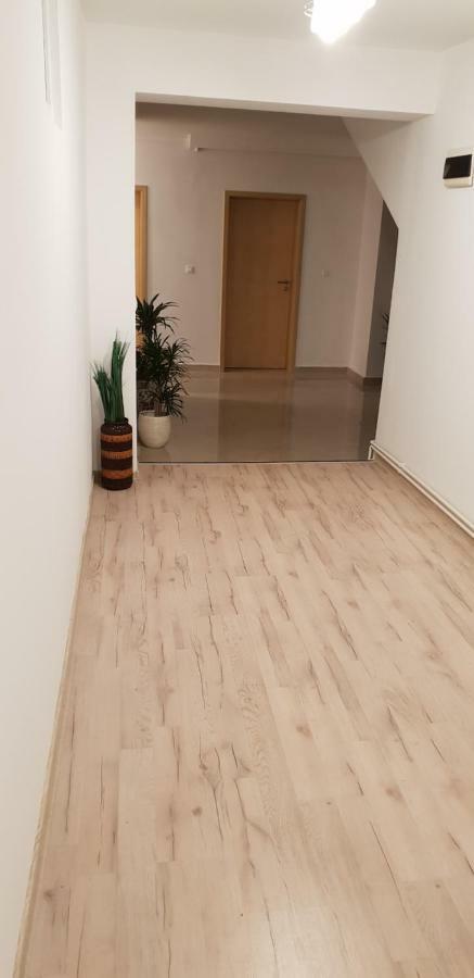 Casa Lions Otel Temeşvar Dış mekan fotoğraf