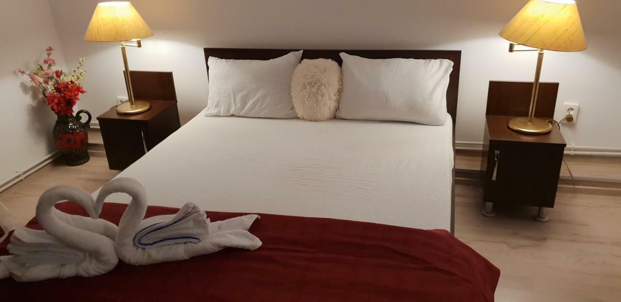 Casa Lions Otel Temeşvar Dış mekan fotoğraf