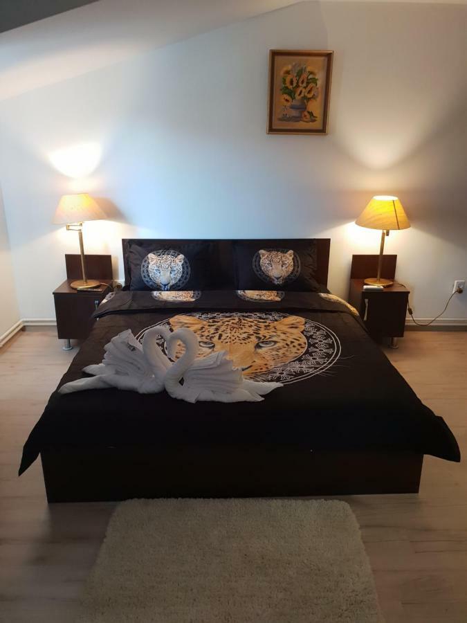 Casa Lions Otel Temeşvar Dış mekan fotoğraf