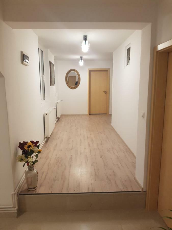 Casa Lions Otel Temeşvar Dış mekan fotoğraf
