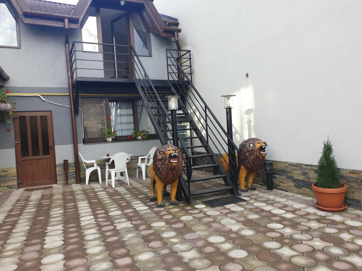 Casa Lions Otel Temeşvar Dış mekan fotoğraf